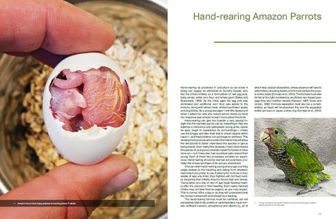 Amazon Parrots - Silva,T. 2022